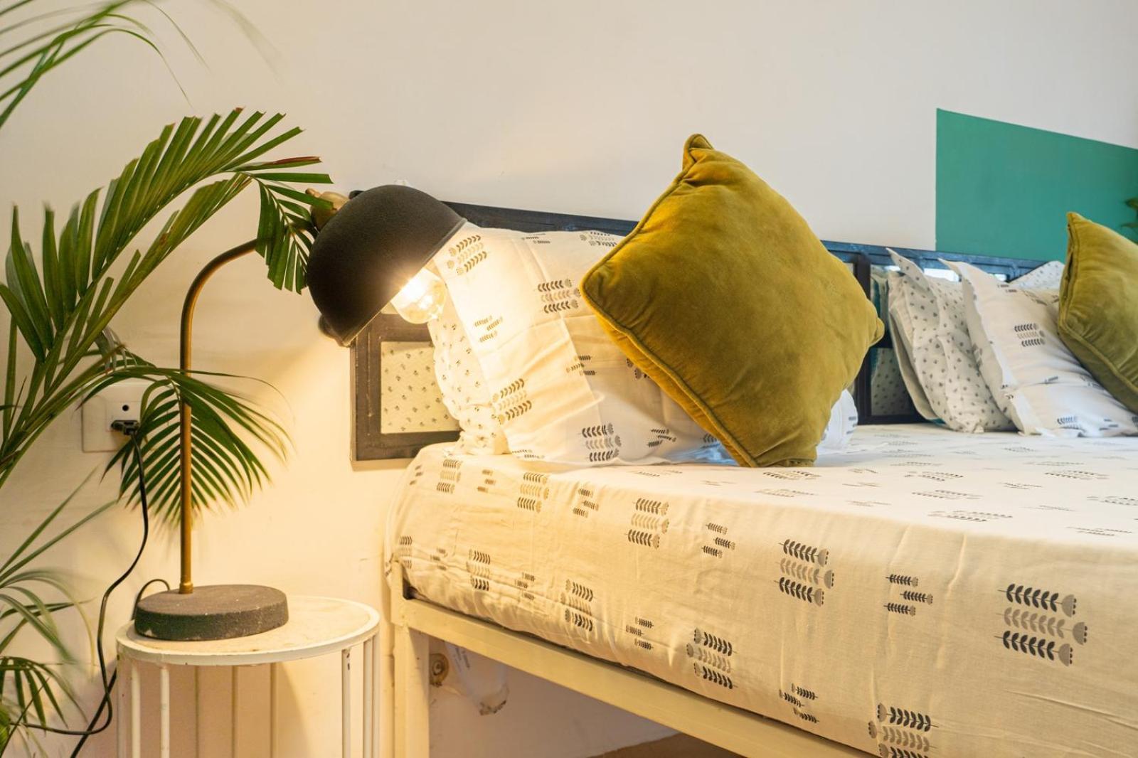 Anandmai - Sustainable Living Spaces 斋浦尔 外观 照片